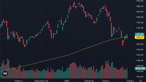 VN-Index tăng mạnh nhất thế giới, cổ phiếu midcap bùng nổ