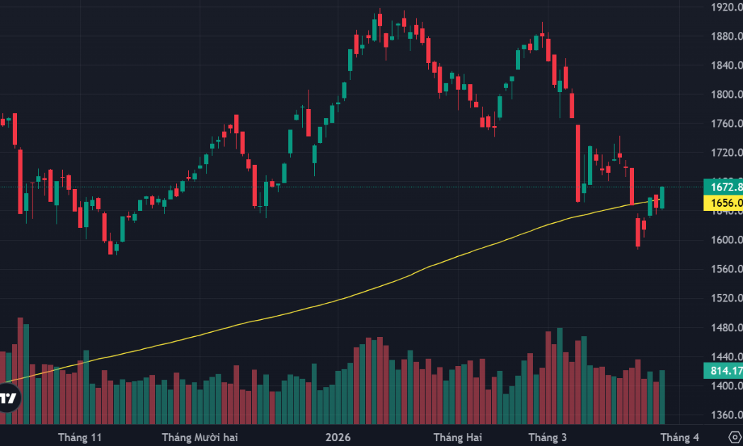 VN-Index tăng mạnh nhất thế giới, cổ phiếu midcap bùng nổ