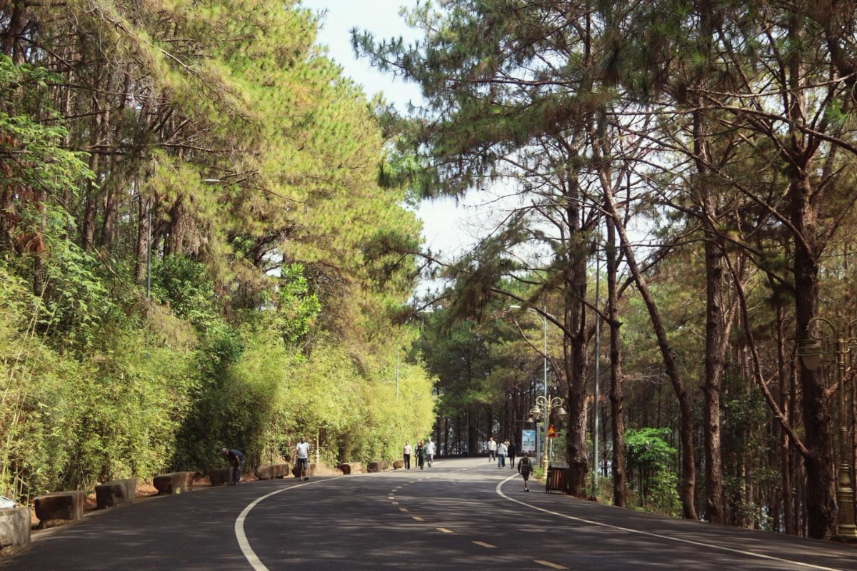 Gia Lai, với việc hội tụ đủ cả rừng và biển đang đứng trước cơ hội chuyển mình.