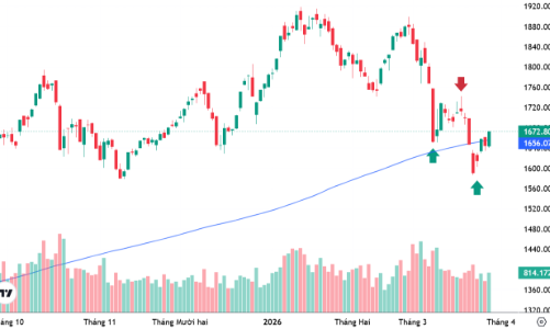 Xu thế dòng tiền: Tăng trong nghi ngờ, hay “bull-trap” lặp lại?