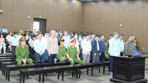 Giám đốc Công ty Hoàng Dân xin dùng 175 cây vàng để khắc phục hậu quả