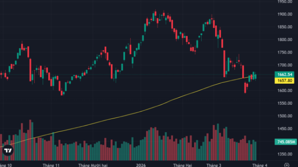 Cầu bắt đáy chủ động hơn, đà giảm thu hẹp