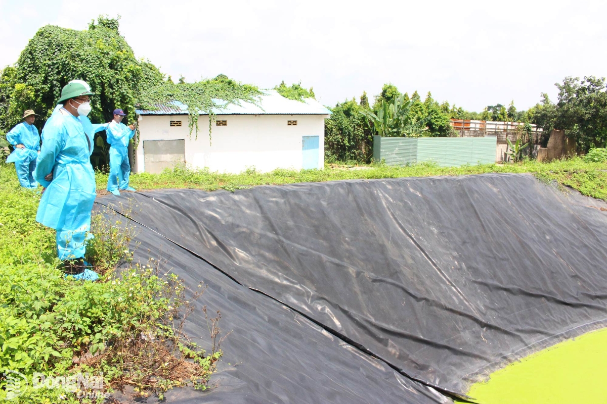 Cụ thể, danh sách kiểm tra gồm: 2 cơ sở thực hiện kết luận thanh tra; 3 khu dân cư; 23 cơ sở thuộc loại hình có nguy cơ gây ô nhiễm môi trường, có nguồn thải lớn; 40 cơ sở chăn nuôi. Ảnh TL