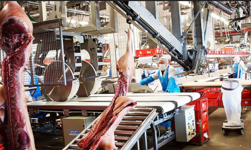 Tháo “nút thắt” giết mổ, chế biến thịt để nâng tầm chuỗi giá trị chăn nuôi