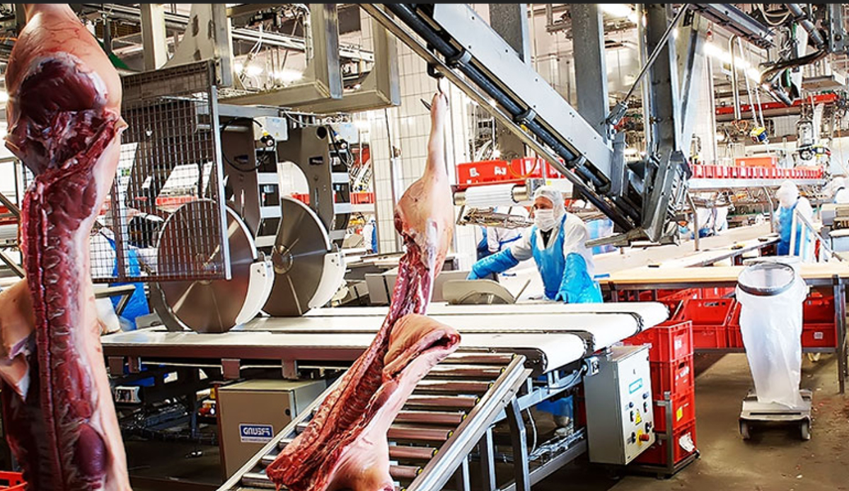 Số doanh nghiệp chế biến thịt quy mô công nghiệp tăng nhanh. 