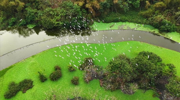 Vietravel định hướng lại danh mục tour theo hướng tập trung vào các tuyến gần, tour nội địa và sản phẩm tối ưu chi phí.