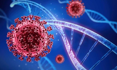 Bộ Y tế đang theo dõi, đánh giá nguy cơ biến thế mới của Covid-19