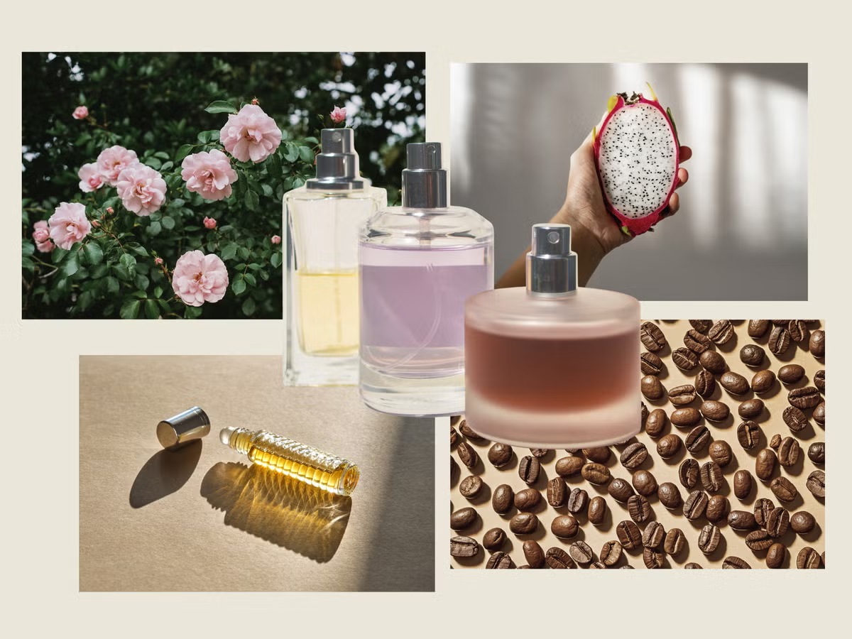  Nước hoa đã dịch chuyển từ một phụ kiện xã hội mang tính bề mặt sang một công cụ gắn với kỳ vọng cảm xúc và tinh thần sâu hơn. 