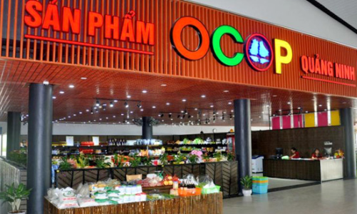 Hội chợ OCOP hè 2026 góp phần kích cầu du lịch Quảng Ninh