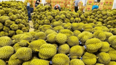 Q1 fruit and vegetable exports earn $1.48 bln 