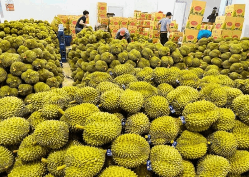 Q1 fruit and vegetable exports earn $1.48 bln 