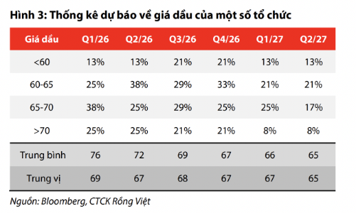 Kịch bản giá dầu sẽ về 70 USD/thùng trong trung hạn, doanh nghiệp dầu khí còn được lợi? 