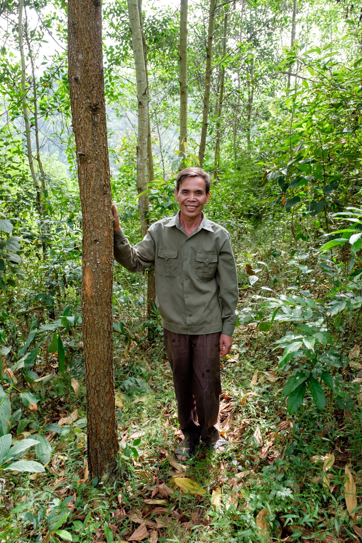 Người dân địa phương bên cây keo đã được trồng tại xã Phiêng Ban, tỉnh Sơn La
