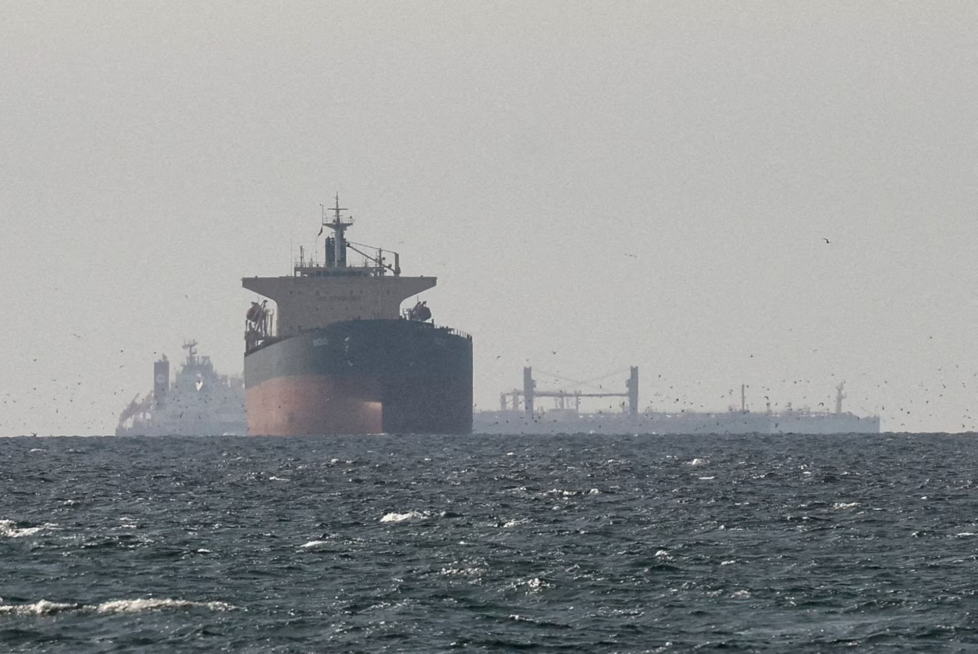 Một tàu chở dầu ở hải phận Các tiểu vương quốc Arab thống nhất (UAE) khu vực gần eo biển Hormuz hôm 11/3/2026, nhìn từ phía Oman - Ảnh: Reuters.