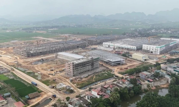 Thanh Hóa đấu giá 27 dự án đất đai năm 2026, dự kiến thu về hơn 2.521 tỷ đồng