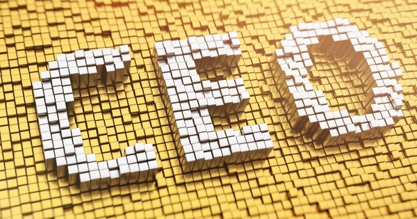 Program to train and develop 10,000 CEOs approved