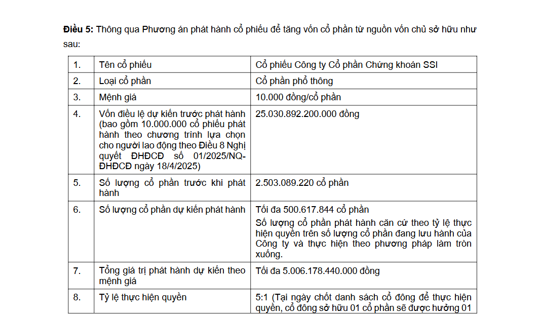SSI công bố kế hoạch cổ tức 2025 bằng tiền và phát hành 500 triệu cổ phiếu - Ảnh 1