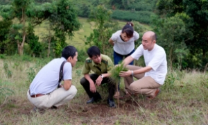 Gần 72 triệu USD chi trả dựa trên kết quả REDD+ giảm phát thải, tăng trữ lượng carbon rừng