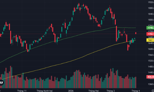 Giá dầu lao dốc, dòng tiền giữ nhịp tốt, cổ phiếu tăng giá vẫn áp đảo