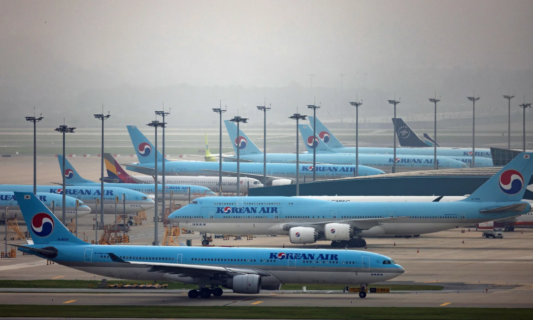 Nhiều hãng hàng không 