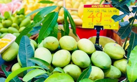 Ở nhóm thực phẩm, yếu tố an toàn, truy xuất nguồn gốc và chứng nhận chất lượng chiếm tỷ lệ rất cao.