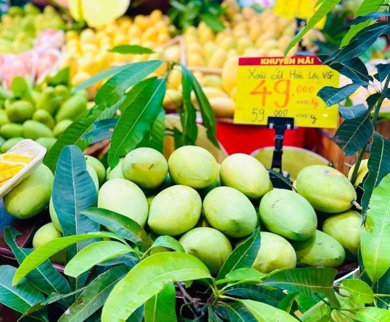 Ở nhóm thực phẩm, yếu tố an toàn, truy xuất nguồn gốc và chứng nhận chất lượng chiếm tỷ lệ rất cao.