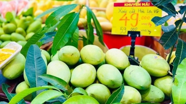 Người tiêu dùng Việt lựa chọn chất lượng và sự minh bạch