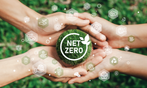 Vietnam gains nearly $72 million from carbon credit