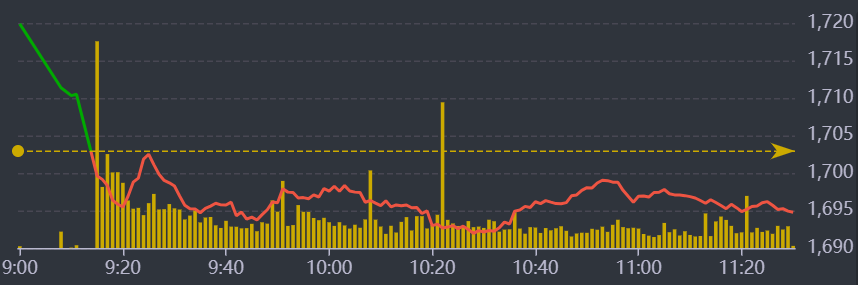 Diễn biến VN-Index sáng nay.