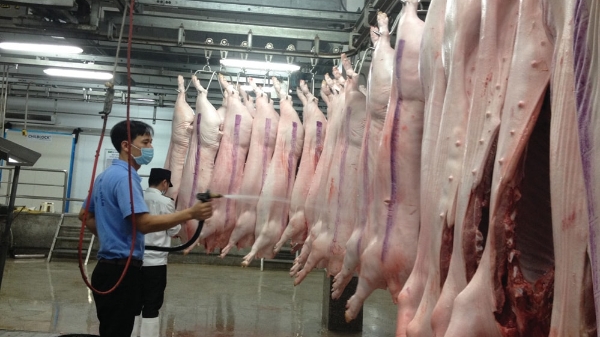 Chi tiết mức lương của công chức chuyên ngành kiểm dịch động vật 