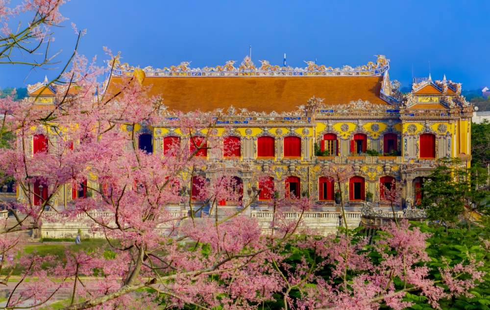 Hoa nở rực rỡ trong Đại Nội