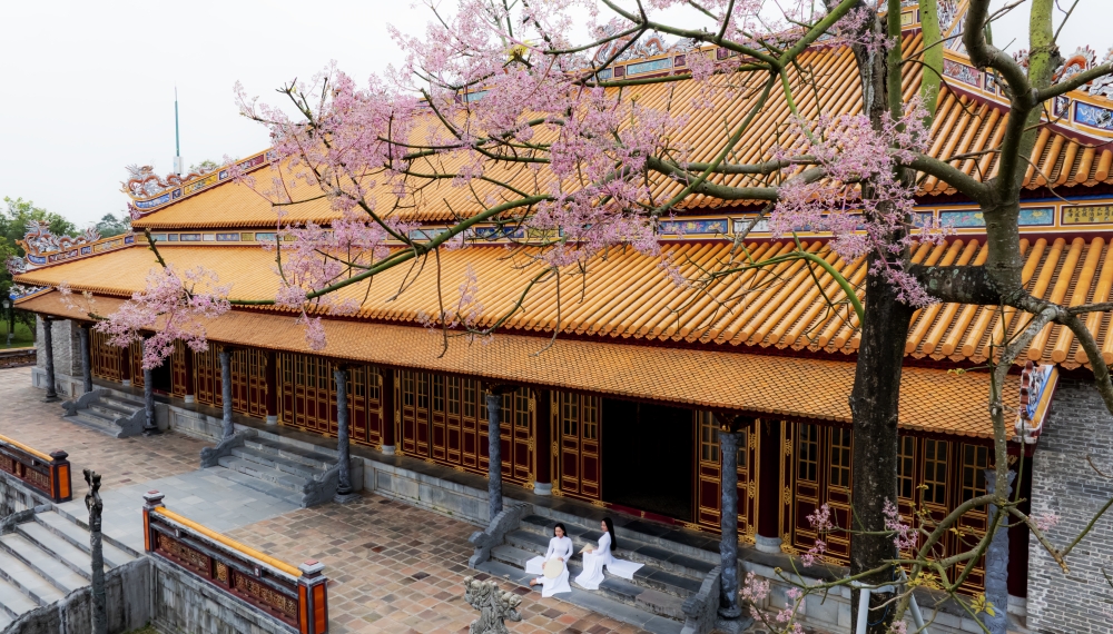 Du khách thích thú chụp ảnh dưới tán cây ngô đồng