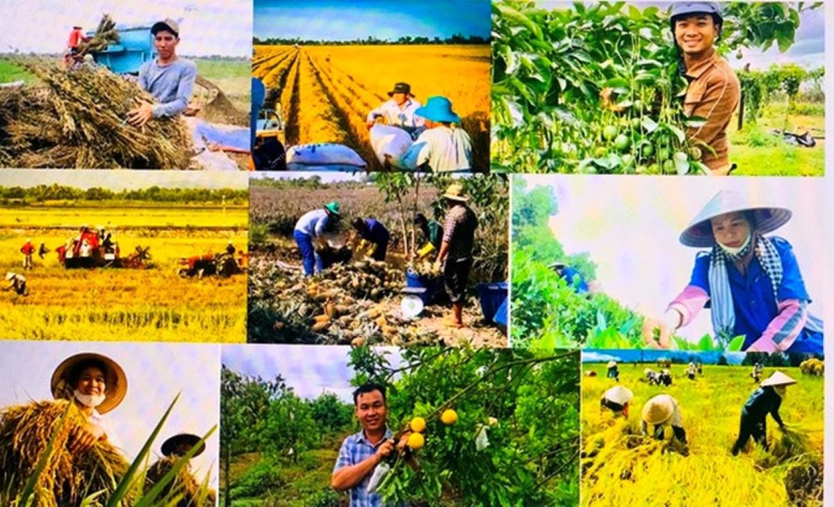sản xuất nông nghiệp giữ đà tăng trưởng