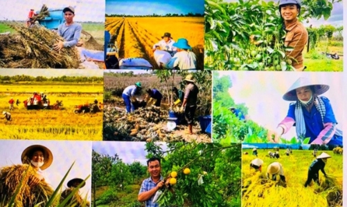 Nông, lâm, thủy sản quý I/2026: Giữ đà tăng trưởng, nổi bật các chỉ số sản xuất