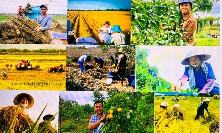 sản xuất nông nghiệp giữ đà tăng trưởng