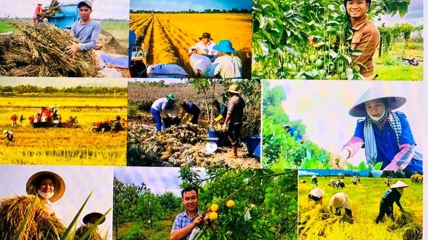 Nông, lâm, thủy sản quý 1/2026: Giữ đà tăng trưởng, nổi bật các chỉ số sản xuất