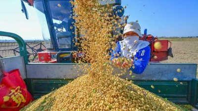 Vietnam’s agro-forestry-fishery imports hit nearly $12 bln in Q1 2026