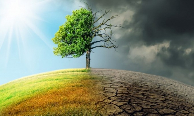 Alternative pathway for nature-aligned growth