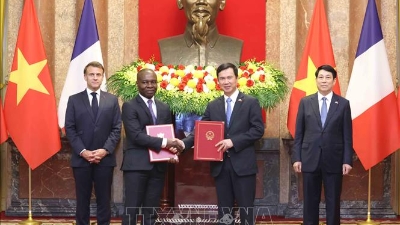 Plan to realize Vietnam–France science and technology cooperation agreement approved