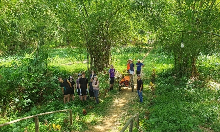 Đối với những du khách cần nạp lại năng lượng, chuyến đi nên là một nơi an toàn và ổn định, có môi trường yên tĩnh hơn, tránh xa đồng hồ báo thức và công nghệ.