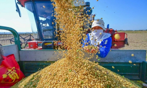 Quý 1/2026: Nhập khẩu nông lâm thủy sản đạt gần 12 tỷ USD