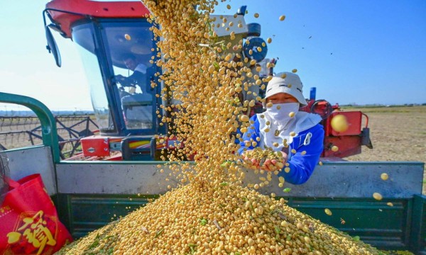 Quý 1/2026: Nhập khẩu nông lâm thủy sản đạt gần 12 tỷ USD