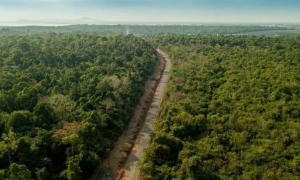 Đồng Nai tăng tốc làm đường nối cầu Mã Đà với Vành đai 4 TP.Hồ Chí Minh, kịp khởi công giữa năm 2026