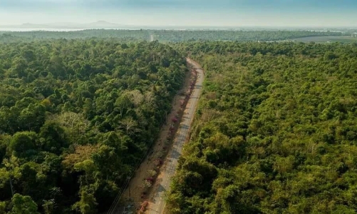 Đồng Nai tăng tốc làm đường nối cầu Mã Đà với Vành đai 4 TP.Hồ Chí Minh, kịp khởi công giữa năm 2026