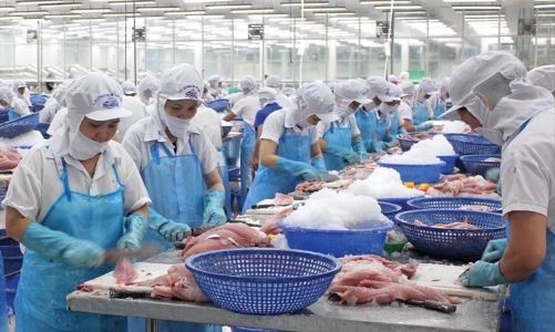 Xuất khẩu thủy sản tháng 3/2026 đạt 927 triệu USD, tăng trưởng chậm lại so với 2 tháng đầu năm