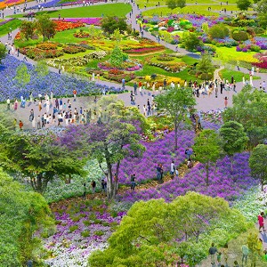Phối cảnh một góc GREEN EXPO 2027.