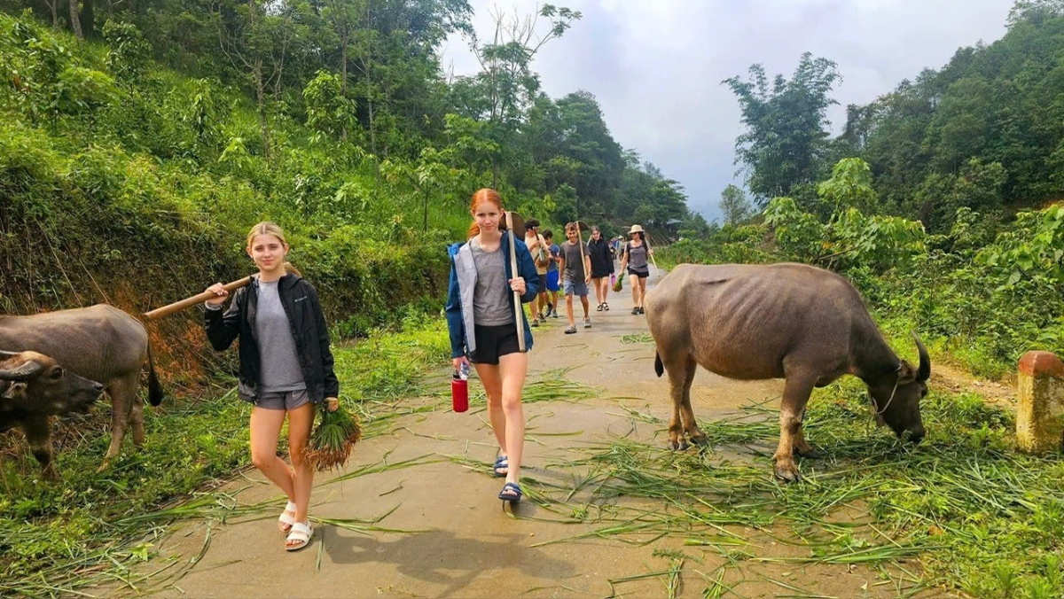 Lượng du khách tham gia các hình thức du lịch nông thôn chiếm khoảng 10% thị trường du lịch toàn cầu.