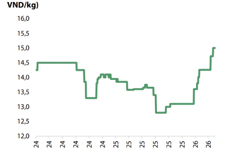 Giá thép tiếp tục đi lên trong quý 2/2026 
