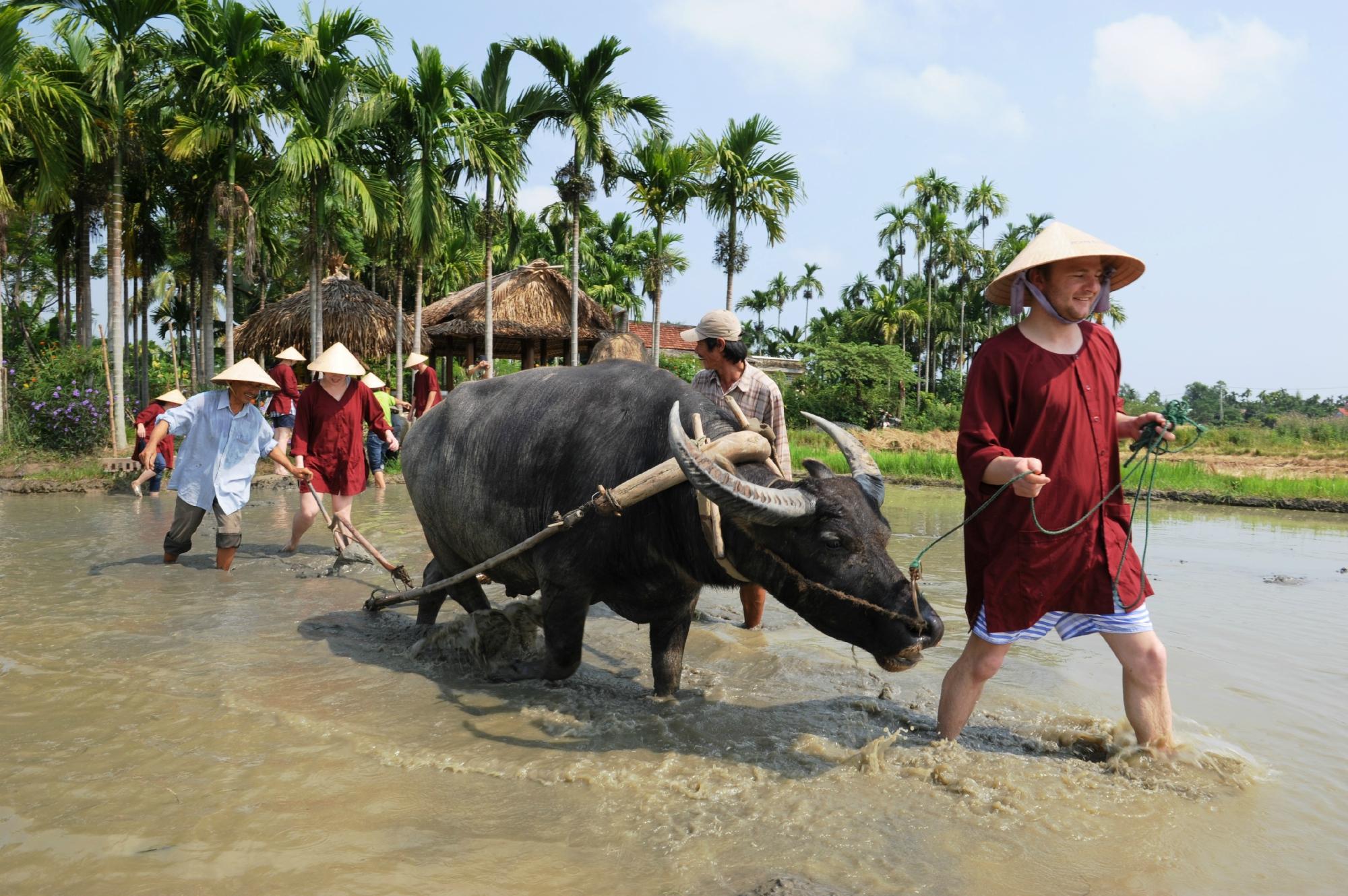 Nhiều du khách quốc tế đã bỏ tiền để tới Việt Nam trải nghiệm cuộc sống làm nông dân.