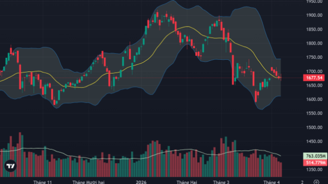 Cổ phiếu chứng khoán bất ngờ tăng bùng nổ